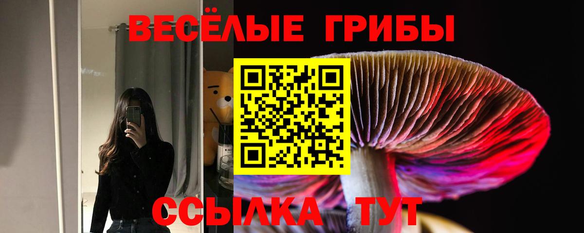 Галлюциногенные грибы Psilocybe  Вход с VPN  Усть-Илимск 